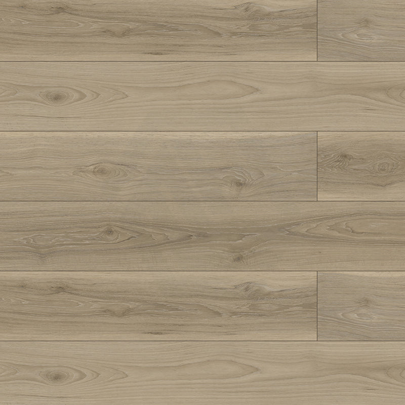 Oak Step Laminate Flooring Hickory Grey 1520X196X12Mm