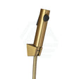 G#1(Gold) Brushed Yellow Gold Abs Handheld Toilet Bidet Spray Kit With 1.2M Stainless Steel Water