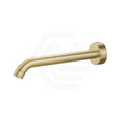 G#2(Gold) 220Mm Fienza Kaya Urban Brass Solid Round Wall Spout For Bathroom Brushed Gold Spouts