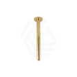 G#2(Gold) Fienza 300Mm Round Urban Brass Ceiling Dropper Brushed Gold Shower Arms