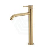 G#2(Gold) Fienza Axle Tall Basin Mixer Urban Brass Solid Mixers