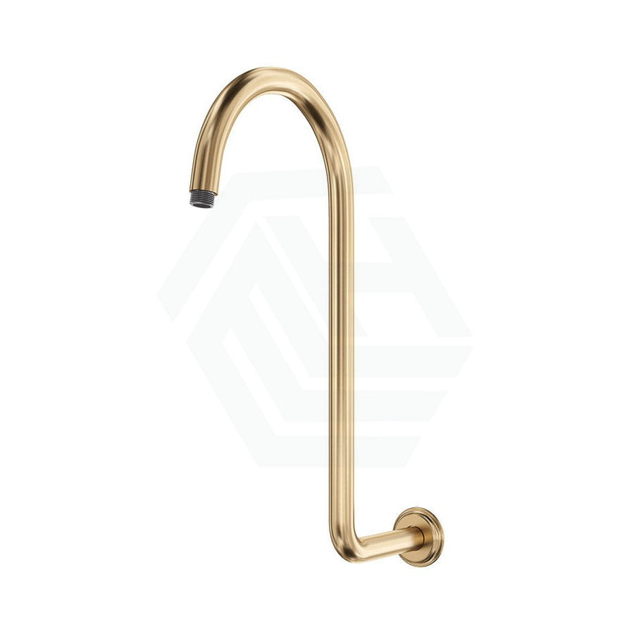 G#2(Gold) Fienza Classical Fixed Urban Brass Swan-Neck Shower Arm Arms