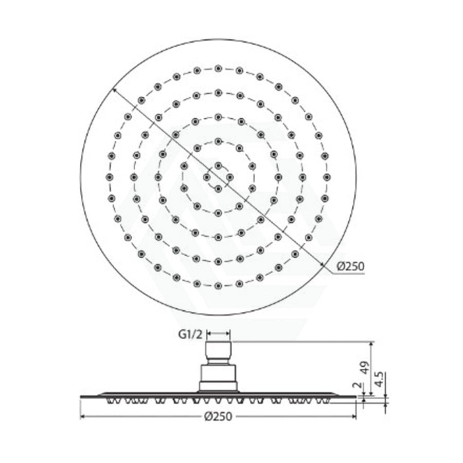 G#2(Gold) Fienza Kaya 250Mm Pvd Urban Brass Round Shower Head Heads