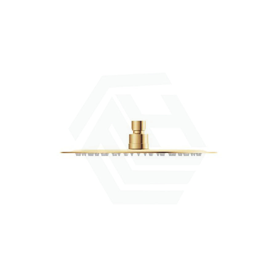 G#2(Gold) Fienza Kaya 250Mm Pvd Urban Brass Round Shower Head Heads