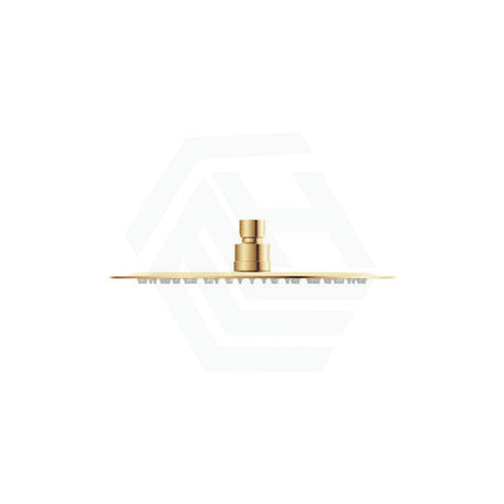 G#2(Gold) Fienza Kaya 250Mm Pvd Urban Brass Round Shower Head Heads