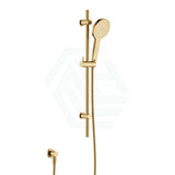 G#2(Gold) Fienza Kaya Urban Brass Shower Rail With Handheld