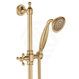 Fienza Lillian Urban Brass Rail Shower Set With Handheld