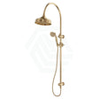 G#2(Gold) Fienza Lillian Urban Brass Twin Shower Top Water Inlet Brushd Gold Showers