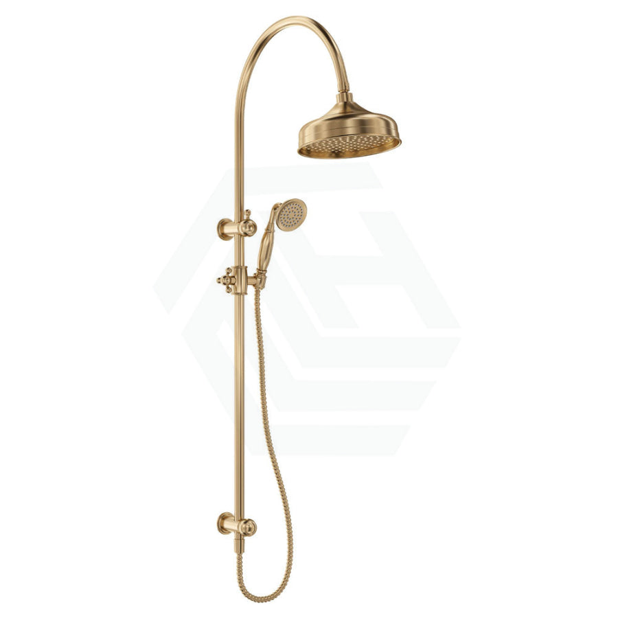 Fienza Lillian Urban Brass Twin Shower Top Water Inlet