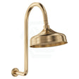 Fienza Lillian Urban Brass Wall Arm Shower Set