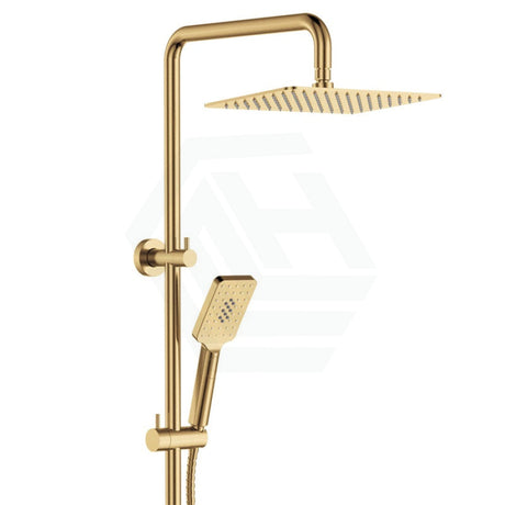 G#2(Gold) Fienza Tono Urban Brass Twin Shower Top Water Inlet Showers