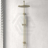 G#2(Gold) Meir 300Mm Round Pvd Tiger Bronze Twin Shower Station Universal Water Inlet Showers