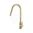 G#2(Gold) Xacta Xpressfit 304 Stainless Steel Brushed Gold Retractable Kitchen Mixer Swivel And