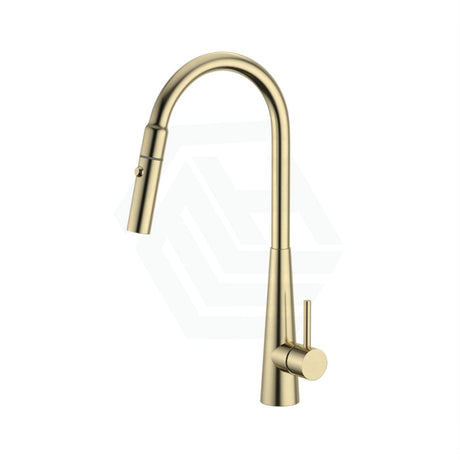 G#2(Gold) Xcel Xpressfit Brushed Gold Stainless Steel Retractable Dual Spray Swivel Pull Out Mixer