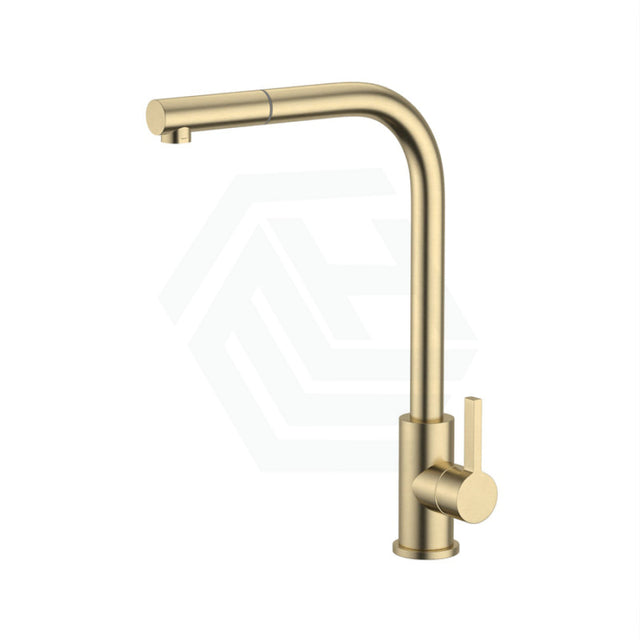 G#2(Gold) Xclaimer Xpressfit Brushed Gold Stainless Steel Straight Neck Retractable Mini Pull Out