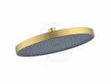 Linkware 260Mm Gabe Shower Head Brushed Gold Heads