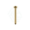 G#4(Gold) 312Mm Round Vertical Shower Arm Brushed Gold Arms