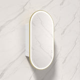 G#6(Gold) 450X900Mm Beau Monde Led Mirror Oval Shaving Cabinet Matt White Finish Brushed Gold