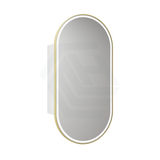 G#6(Gold) 450X900Mm Beau Monde Led Mirror Oval Shaving Cabinet Matt White Finish Brushed Gold