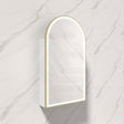 G#6(Gold) 500X900Mm Canterbury Led Mirror Arch Shaving Cabinet Matt White Finish Brushed Gold