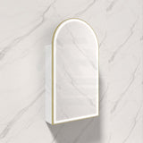 G#6(Gold) 500X900Mm Canterbury Led Mirror Arch Shaving Cabinet Matt White Finish Brushed Gold