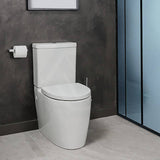 Kohler Grande Rimless Dual Flush Back To Wall Toilet Suite Ceramic White Gloss Suites