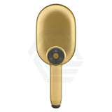 Kohler Statement Oval Brushed Brass 3 Functions Handheld Shower Head Only Showers