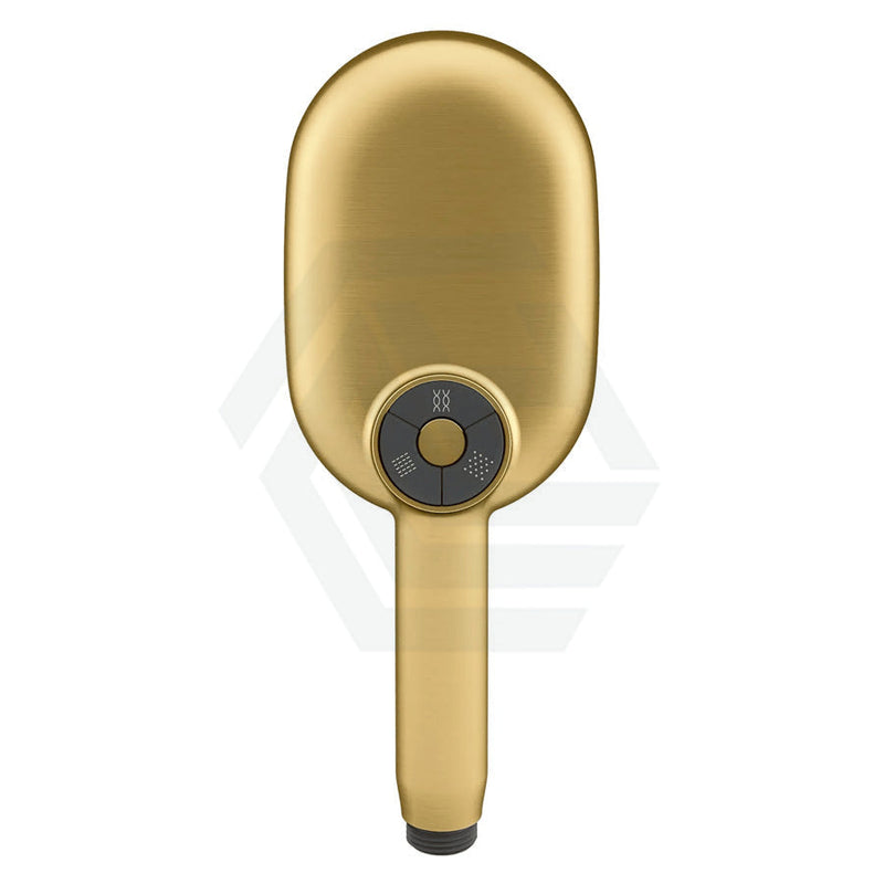 Kohler Statement Oval Brushed Brass 3 Functions Handheld Shower Head Only Showers