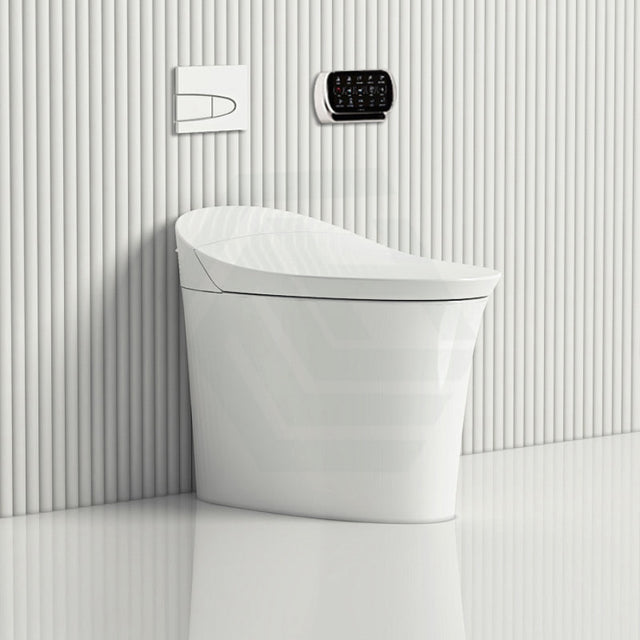 Kohler Veil Rimless Gloss White Wall Floor Smart Toilet With Inwall Cistern Flush Button Suites