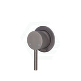 M#1(Gunmetal Grey) Fienza Axle Gun Metal Wall Mixer Small Round Plate Gunmetal Grey Mixers