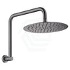 Fienza Kaya Gun Metal Gooseneck Shower Arm Set