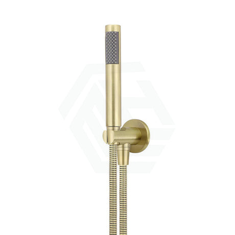 Meir Round Hand Shower On Fixed Bracket Variant Colour Available Tiger Bronze Handheld Sets