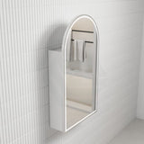 N#1(Nickel) 500X900Mm Canterbury Led Mirror Arch Shaving Cabinet Matt White Finish Brushed Nickel