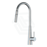 Xcel Satin Stainless Steel Gooseneck Retractable Dual Spray Swivel Pull Out Mixer Tap Sink Mixers