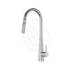 N#1(Nickel) Xcel Xpressfit Satin Stainless Steel Retractable Dual Spray Swivel Pull Out Mixer Tap