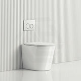 R&T Frameless Inwall Concealed Cistern with Rimless Wall Faced Toilet Pan with Push Button