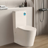 655x385x870mm Avis Back To Wall Toilet Suite Rimless Back/Left and Right Bottom Inlet Cistern Matt White