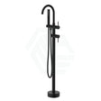 Round Floor Mounted Bath Mixers Handheld Stainless Steel Matt Black