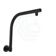 Round Swivel Wall Mounted Shower Arm Matt Black Arms