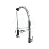 Spring Brass Chrome 360 Swivel Double Spout Kitchen Sink Mixer Tap Mixers