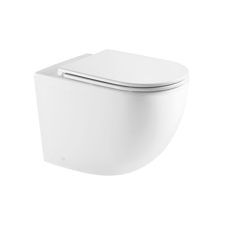 570x360x400mm Bathroom Toilet Wall Floor Faced Pan With Rimless VORTEX Flushing Technology