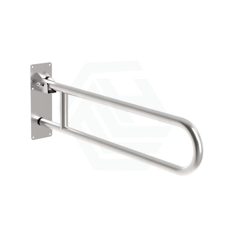 U-Shaped Stainless Steel Drop Down Grab Rail Special Care Needs