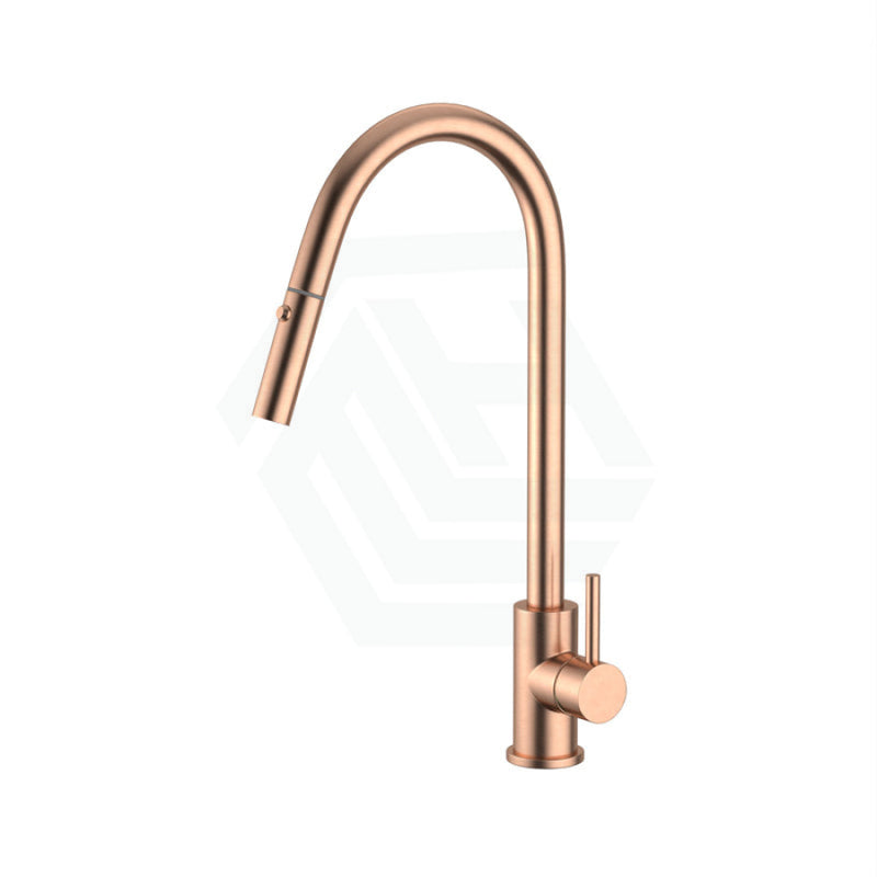 Xacta Xpressfit 304 Stainless Steel Rose Gold Retractable Kitchen Mixer Swivel And Pull Out Sink