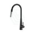 Xcel Xpressfit Black & Bling Stainless Steel Retractable Dual Spray Swivel Pull Out Mixer Tap Sink