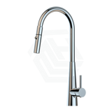 Xcel Polished Chrome Stainless Steel Gooseneck Retractable Dual Spray Swivel Pull Out Mixer Tap