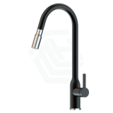 Xtravert Xpressfit Black & Bling Stainless Steel Tall Gooseneck Mini Pull Out Mixer Sink Mixers