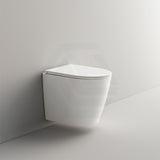 Ceramic Toilet Pan Wall Hung Rimless Round White